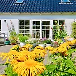 度假居 Landlig Idyl Kun 15 Minutter Fra Aalborg Centrum