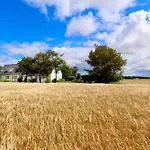 Landlig Idyl Kun 15 Minutter Fra Aalborg Centrum