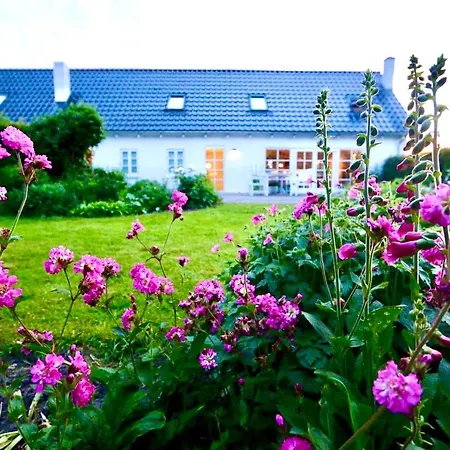 Landlig Idyl Kun 15 Minutter Fra Aalborg Centrum *