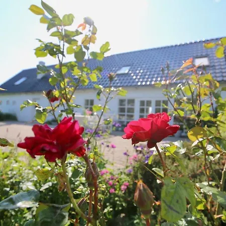 度假居 Landlig Idyl Kun 15 Minutter Fra Aalborg Centrum *