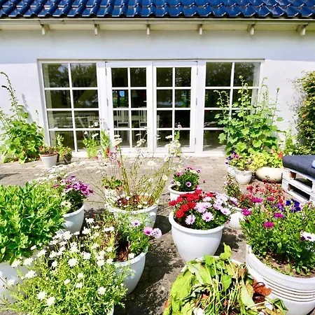 Ferienhaus Landlig Idyl Kun 15 Minutter Fra Aalborg Centrum