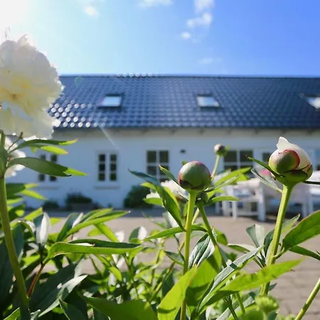 Holiday home Landlig Idyl Kun 15 Minutter Fra Aalborg Centrum *