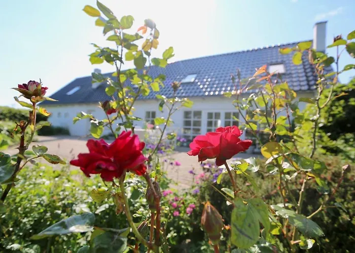 Feriehus Landlig Idyl Kun 15 Minutter Fra Aalborg Centrum *