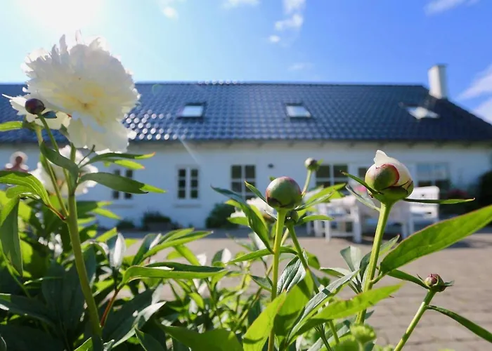 Feriehus Landlig Idyl Kun 15 Minutter Fra Aalborg Centrum *
